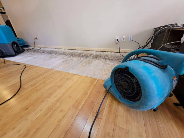 Professional Flood Damage Cleanup technician working in Owensville, IN